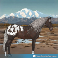 Horse Color:Silver Brown Tobiano Near Leopard 