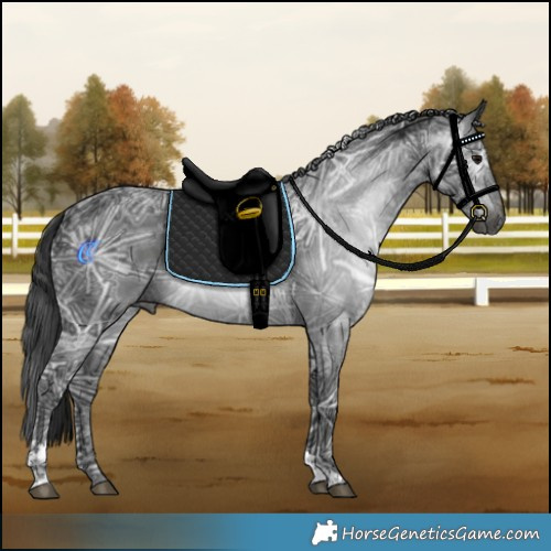 Horse Color:Gray Black Ice Tobiano 