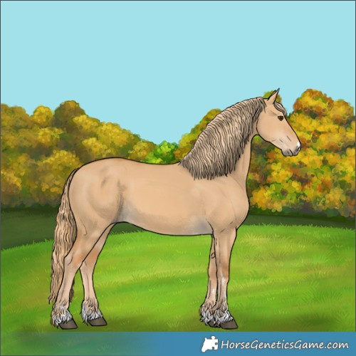 Horse Color:Red Dun 