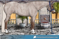 Horse Color:Silver Blue Roan 