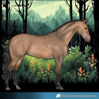 Horse Color:Bay Dun 