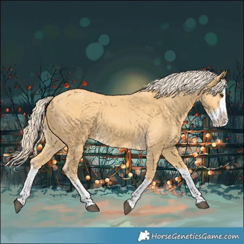 Horse Color:Palomino Splash 