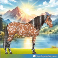 Horse Color:Bay Tobiano Snowflake Varnish