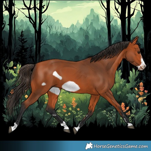 Horse Color:Bay Frame 