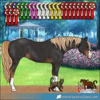 Horse Color:Liver Chestnut 