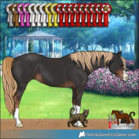 Horse Color:Liver Chestnut 