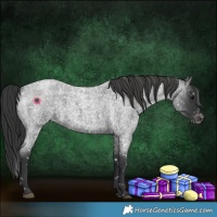 Horse Color:Blue Roan Snowflake Varnish