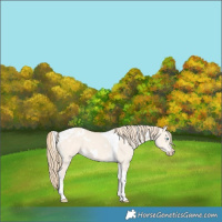 Horse Color:White Spotted Perlino Dun Tobiano Rabicano 