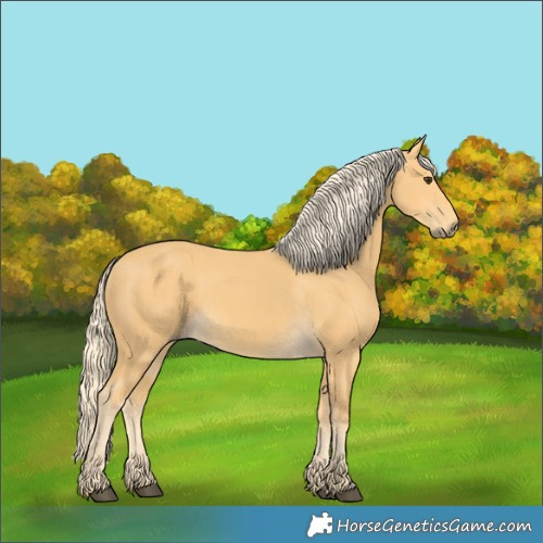 Horse Color:Palomino