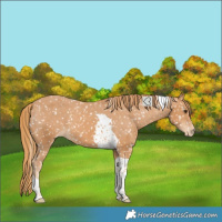 Horse Color:Chestnut Tobiano Snowflake Varnish