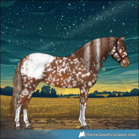 Horse Color:Chestnut Tobiano Snowcap