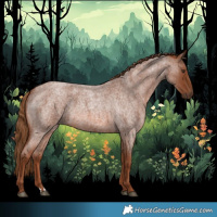 Horse Color:Red Roan