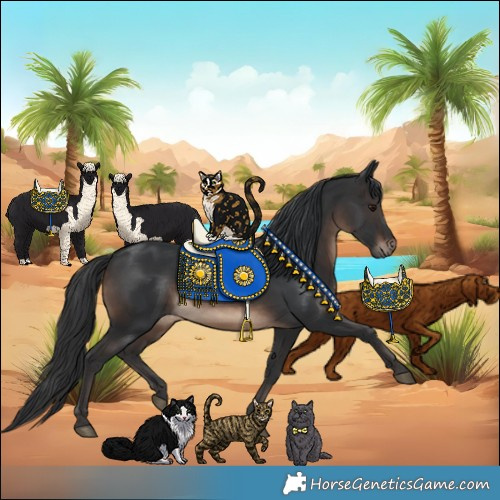 Horse Color:Brown 