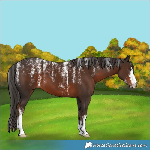 Horse Color:Powder White Liver Chestnut 