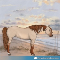Horse Color:Red Dun 