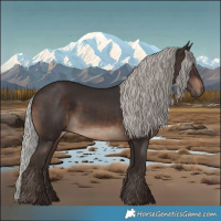Horse Color:Silver Brown 