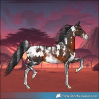Horse Color:Powder White White Spotted Liver Chestnut 