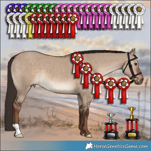 Horse Color:Liver Red Dun