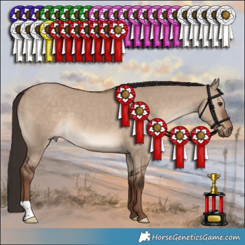 Horse Color:Liver Red Dun 