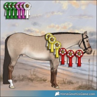 Horse Color:Liver Red Dun 