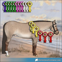 Horse Color:Liver Red Dun