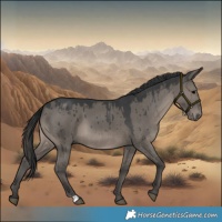 Horse Color:Grullo Brindle 