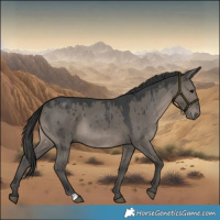 Horse Color:Grullo Brindle 