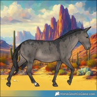 Horse Color:Grullo Brindle 
