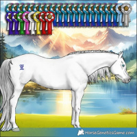 Horse Color:Gray Smoky Black Splash Tobiano