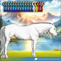 Horse Color:Gray Smoky Black Splash Tobiano