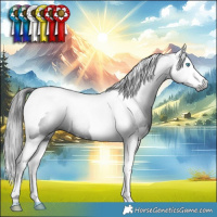 Horse Color:Gray Smoky Black Splash Tobiano 