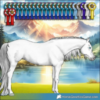 Horse Color:Gray Smoky Black Splash Tobiano