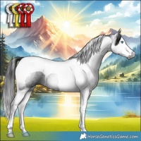 Horse Color:Gray Smoky Black Splash Tobiano 