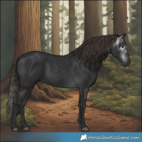 Horse Color:Gray White Spotted Liver Chestnut 