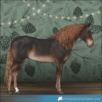 Horse Color:Liver Chestnut