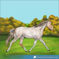 Horse Color:Red Roan Pearl Tobiano Frame 