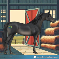 Horse Color:Black 