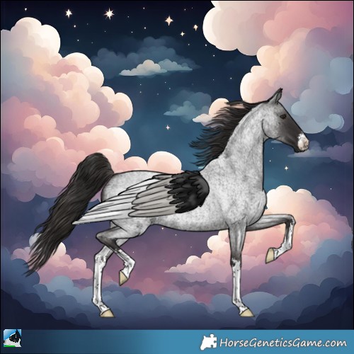 Horse Color:White Spotted Liver Red Roan 
