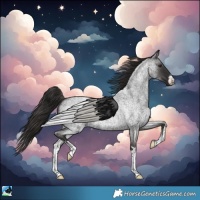 Horse Color:White Spotted Liver Red Roan 