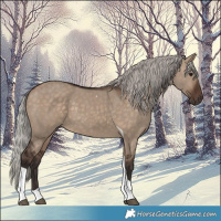 Horse Color:Silver Brown Dun Tobiano 