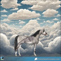 Horse Color:Grullo Roan Onyx Blanket Rabicano 