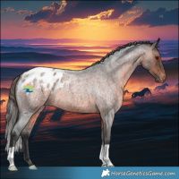 Horse Color:Brown Roan Varnish 