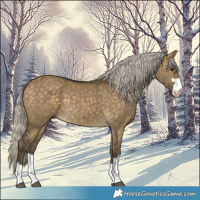 Horse Color:Silver Buckskin Dun 