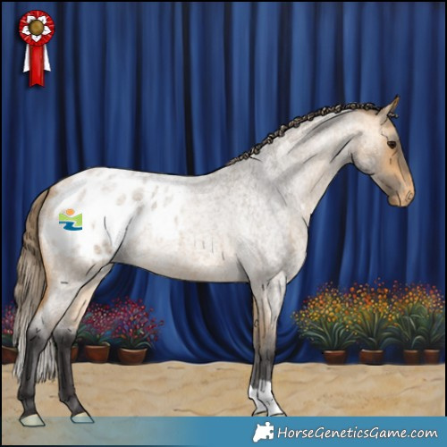 Horse Color:Buckskin Roan Varnish 