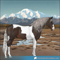 Horse Color:Silver Brown Tobiano 