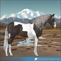 Horse Color:Silver Brown Tobiano 