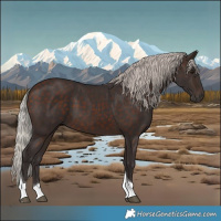 Horse Color:Silver Brown Tobiano 