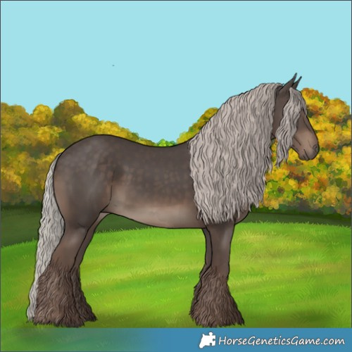 Horse Color:Silver Black 