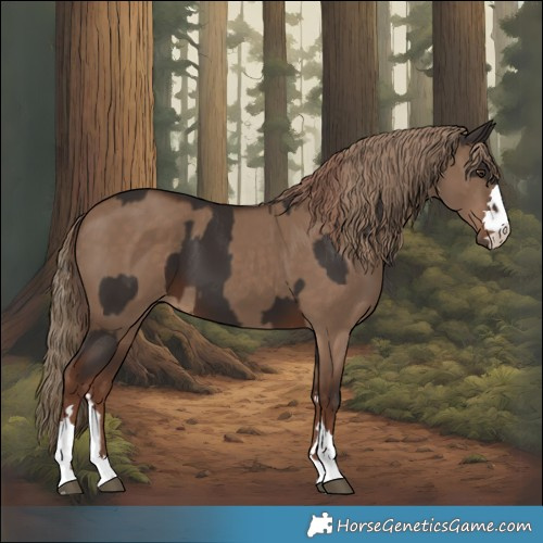 Horse Color:Liver Chestnut  and Liver Red Dun 