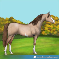 Horse Color:Brown Pearl Dun